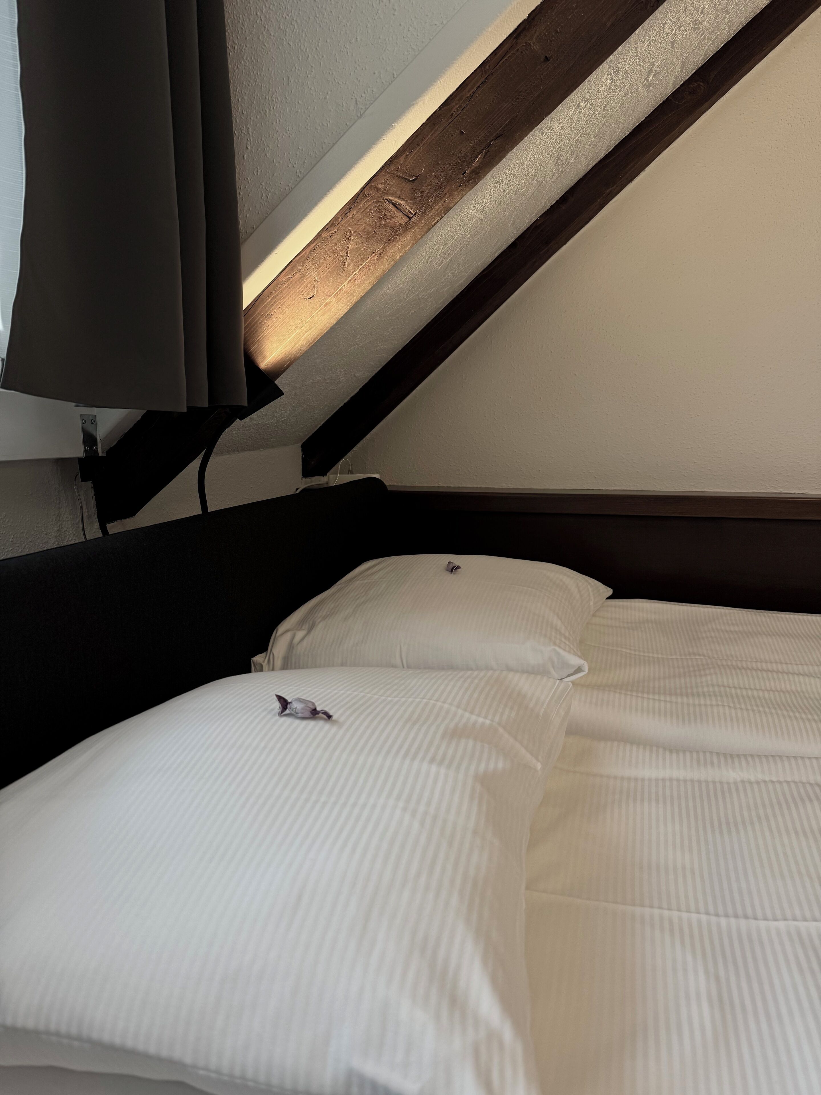 Foto - Hotel Baslertor