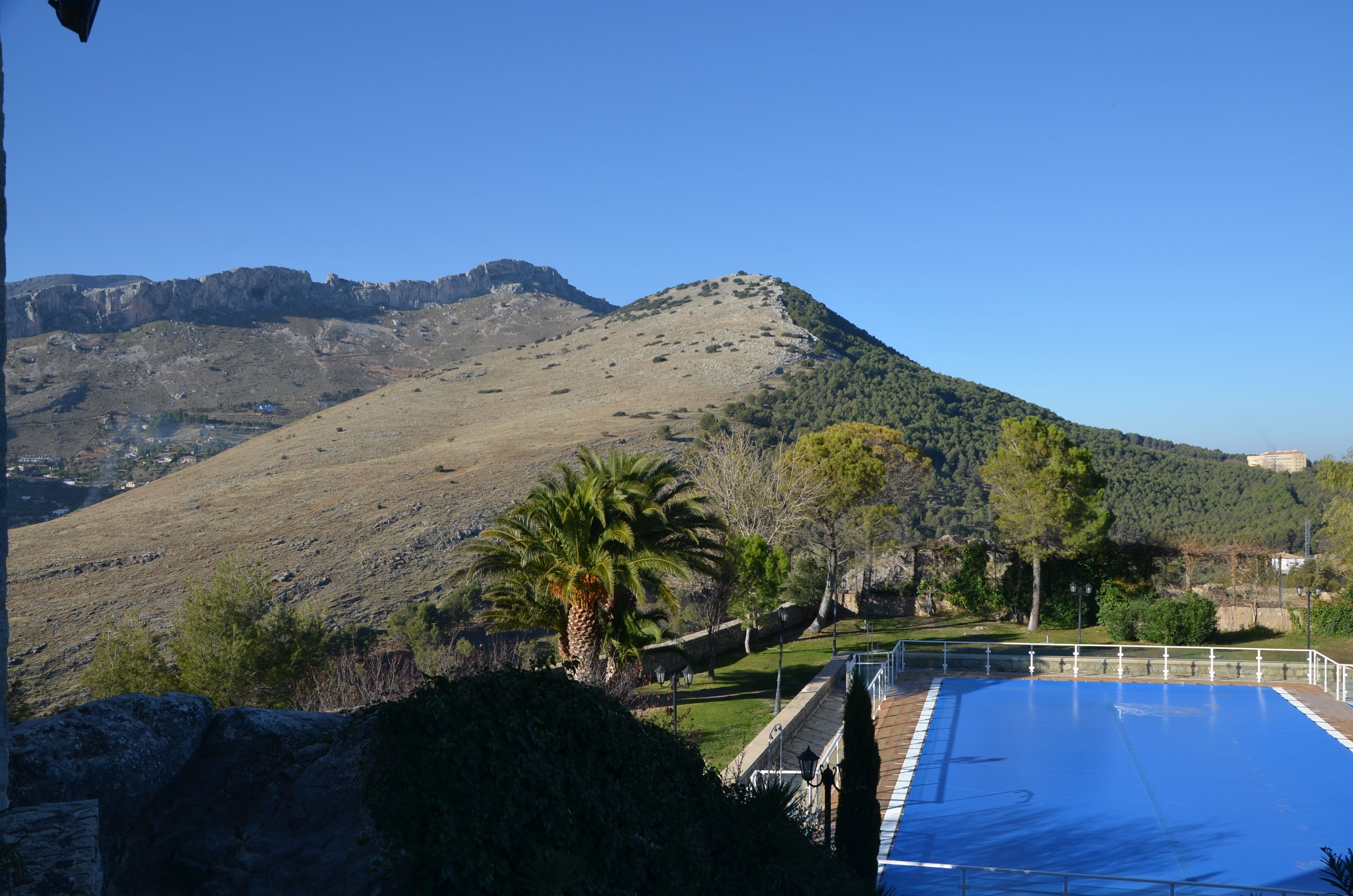 seasonal outdoor pool, pool umbrellas, pool loungers