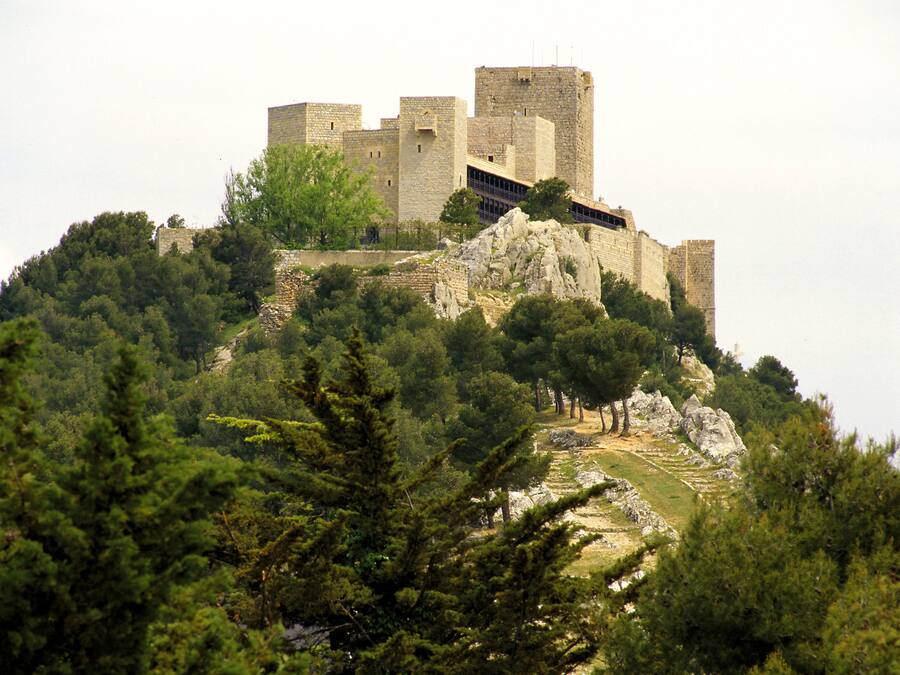 Eine historische Steinburg thront auf einem Hügel, umgeben von dichtem Wald.