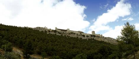 A historic building on a hill with dense forest.