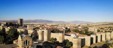 A historic city with medieval architecture, including a prominent castle with multiple towers and a cathedral.