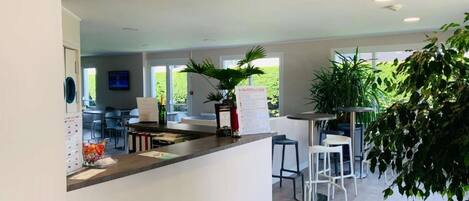Una cocina moderna con una isla central, taburetes de bar y una planta grande en maceta.