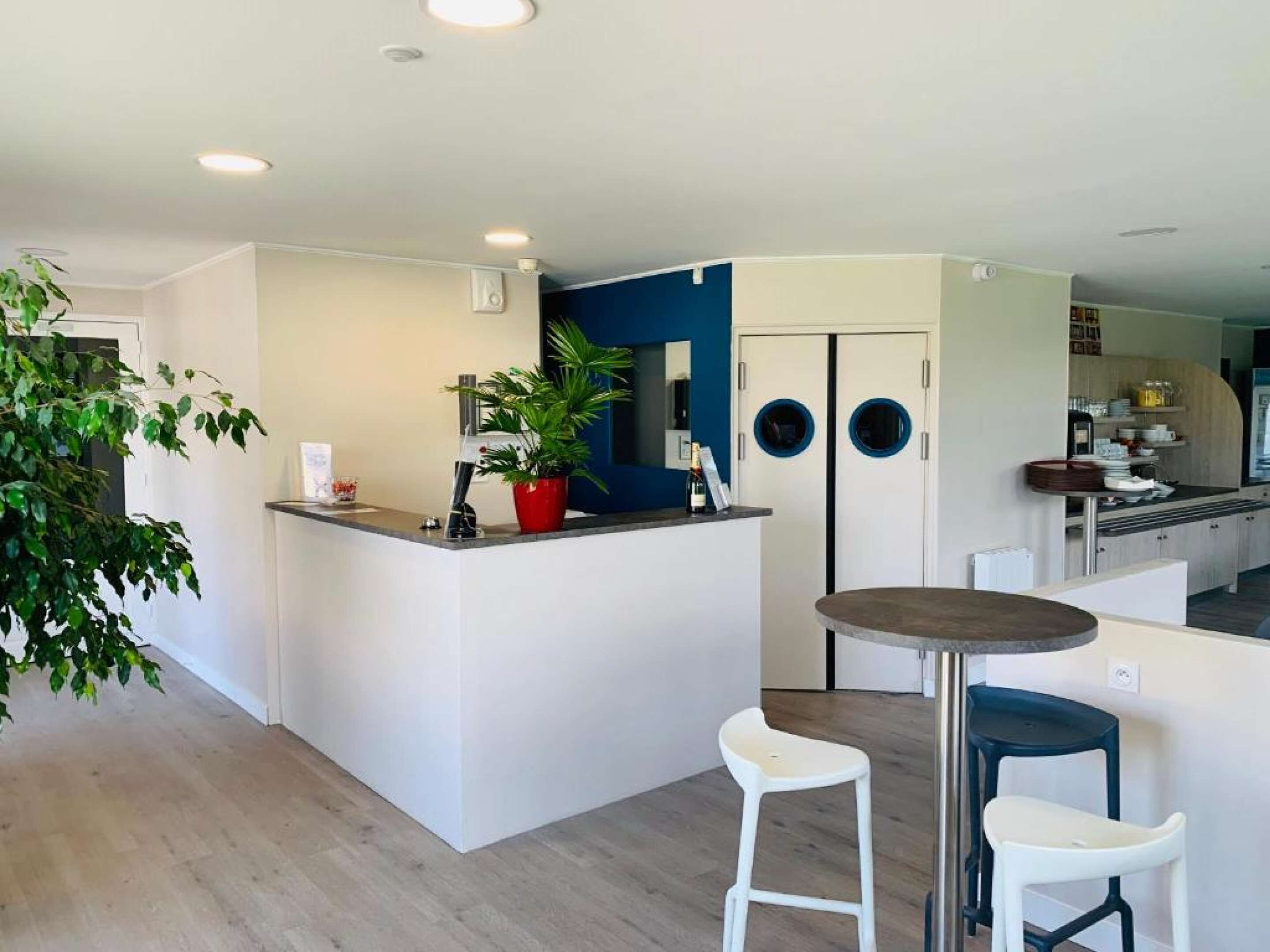 A modern kitchen with a central island, white bar stools, and a potted plant.
