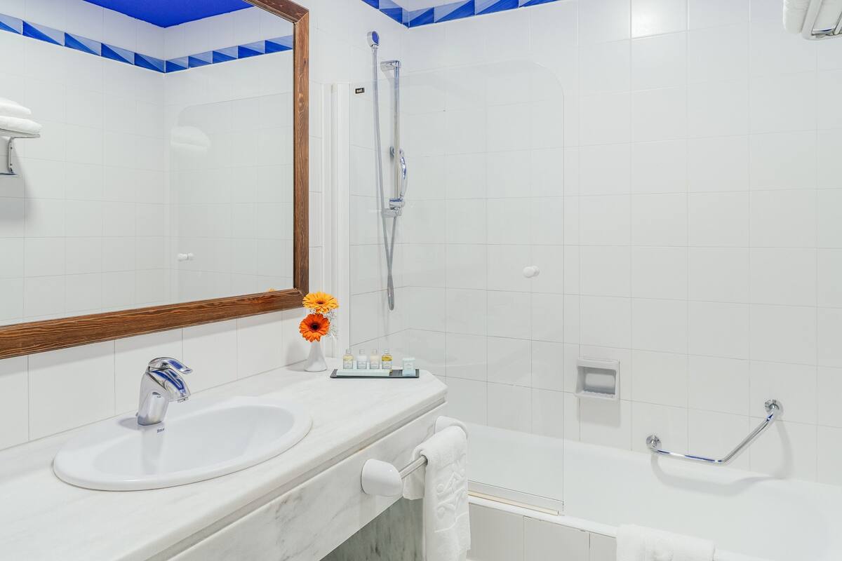 bathtub, free toiletries, hair dryer, bidet