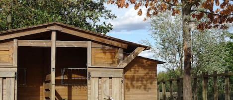 Accommodatievoorziening