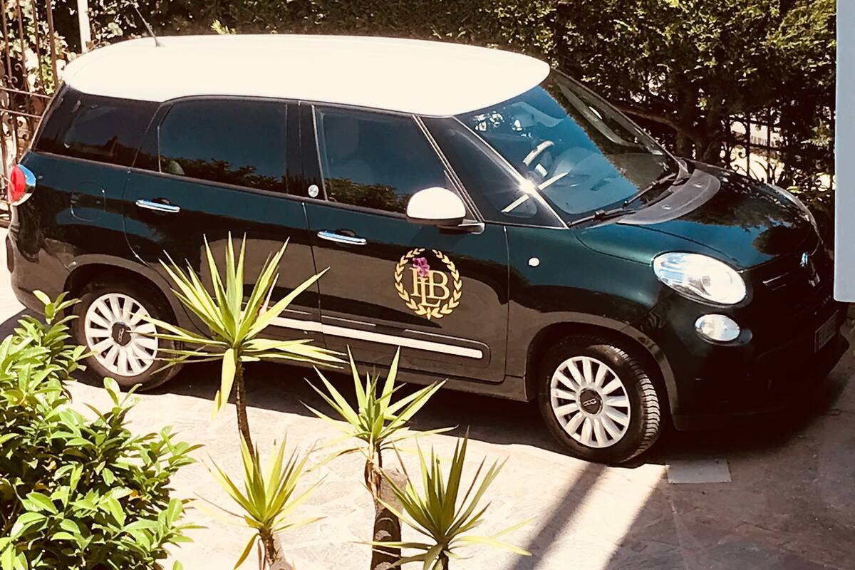 cruise terminal shuttle