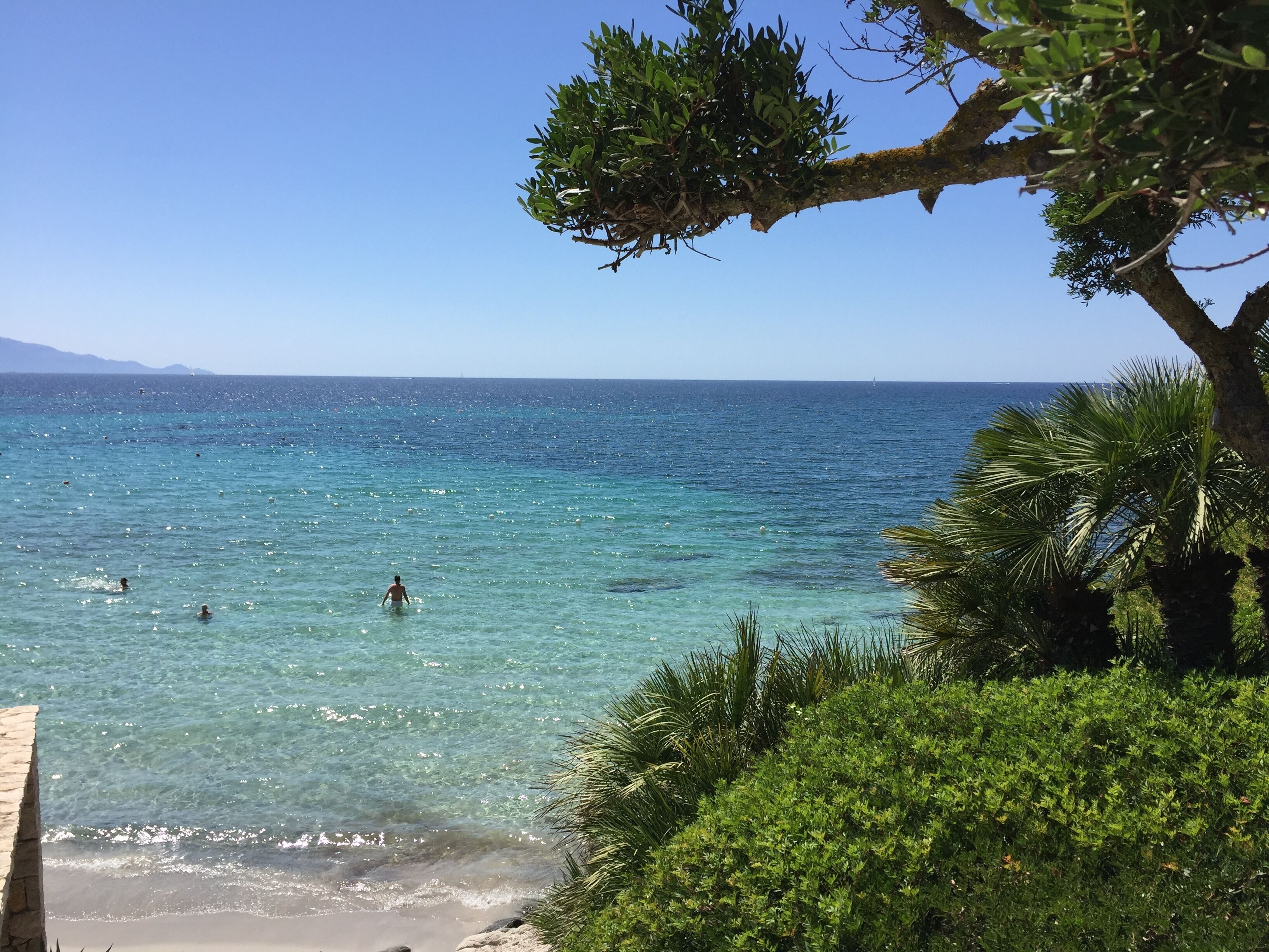 A beach with clear turquoise water, people swimming, and lush greenery.