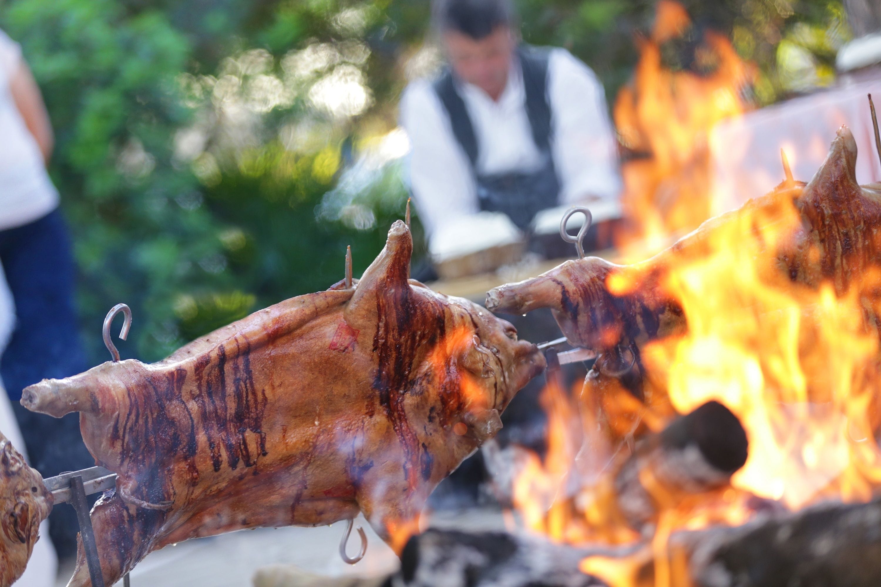 Ein großer, offener Kochbereich mit einem am Spieß gegrillten Schwein über offenem Feuer, umgeben von viel Grün.