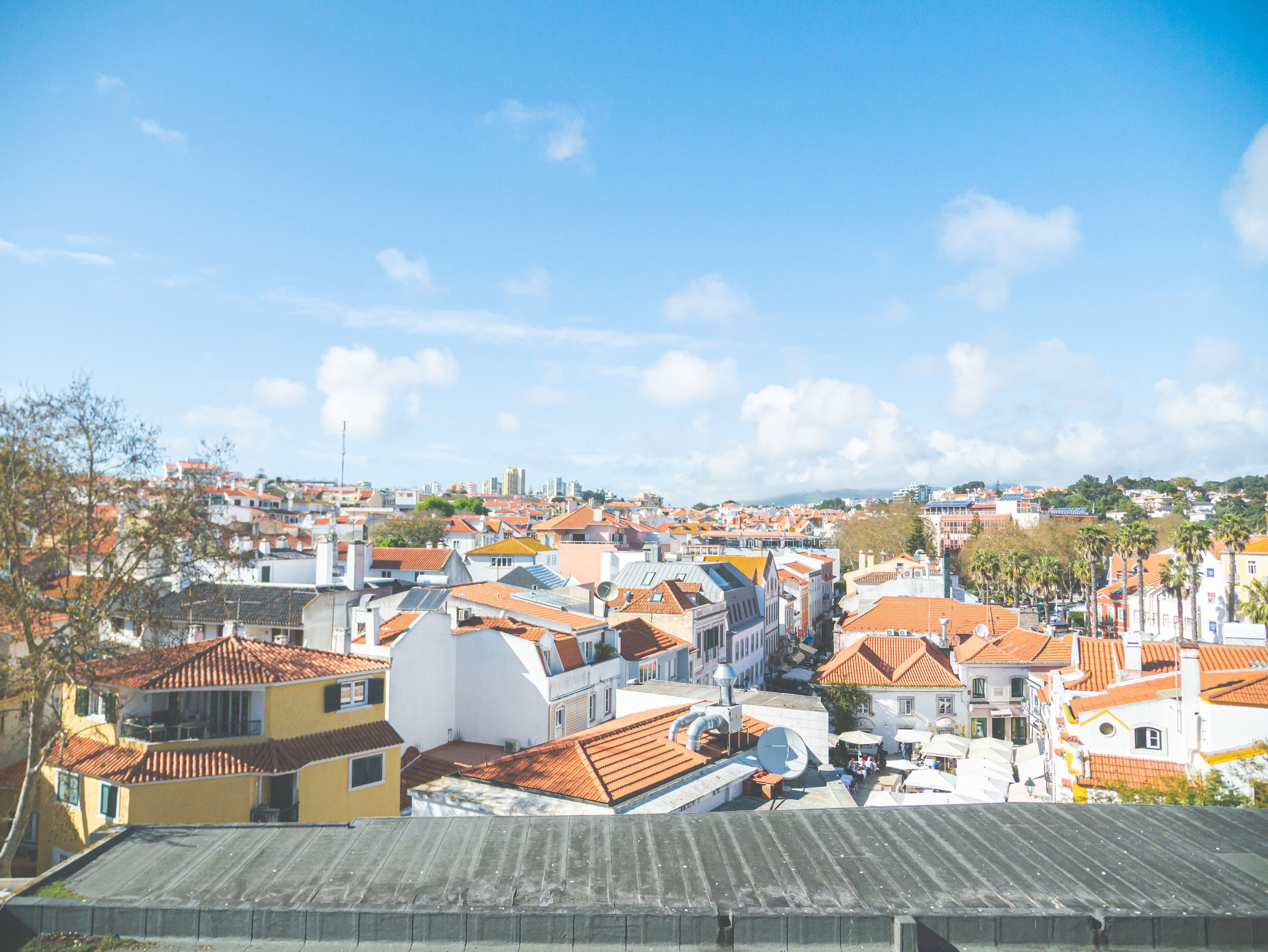 superior twin room, city view | city view