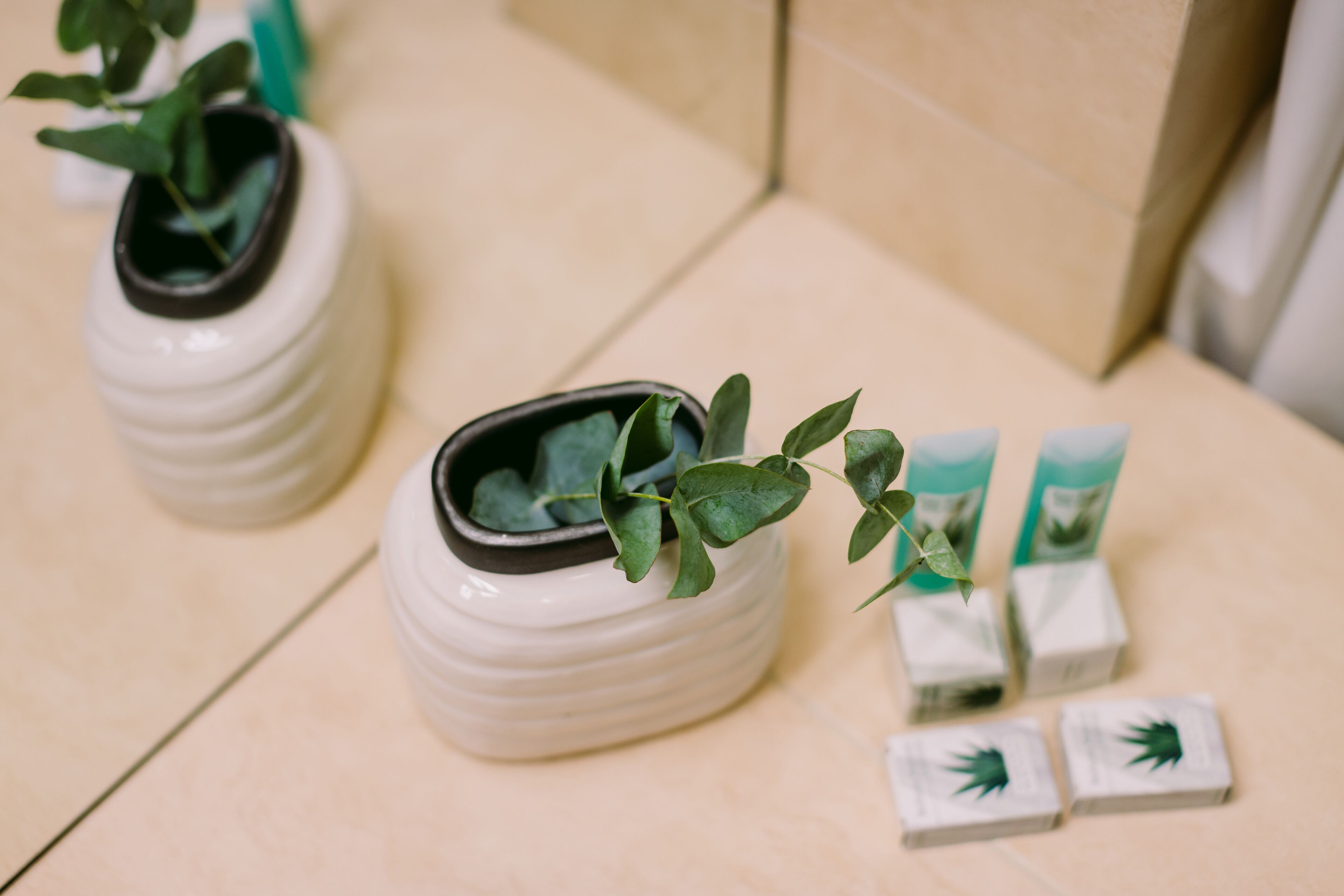 business single room | room amenity