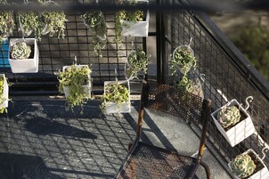 Suite (Prestige) | Balcony