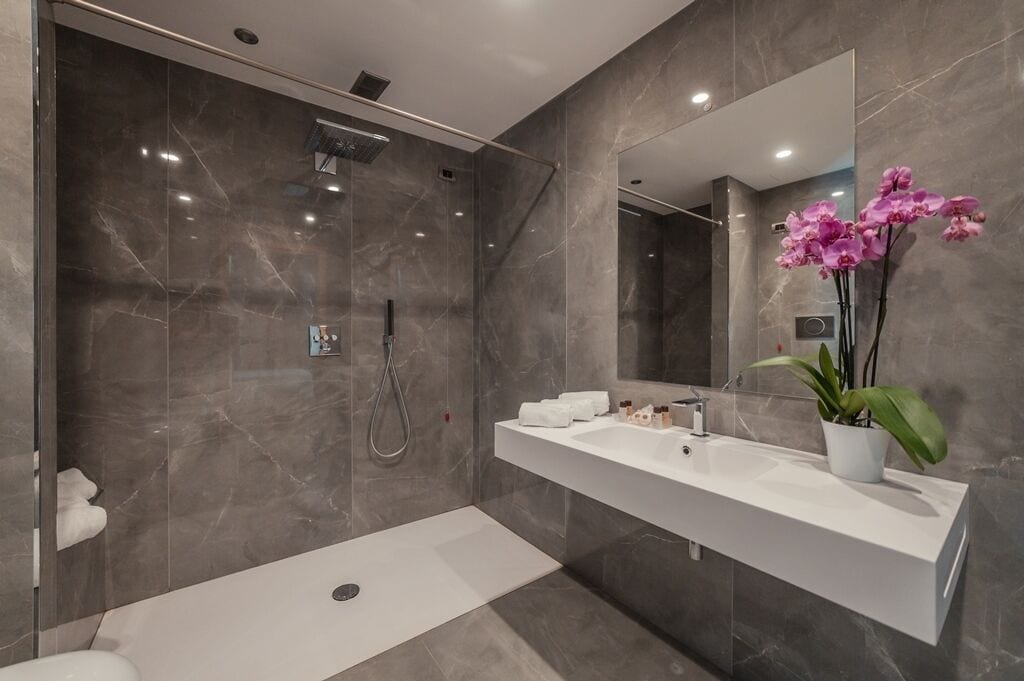 hair dryer, bidet, towels