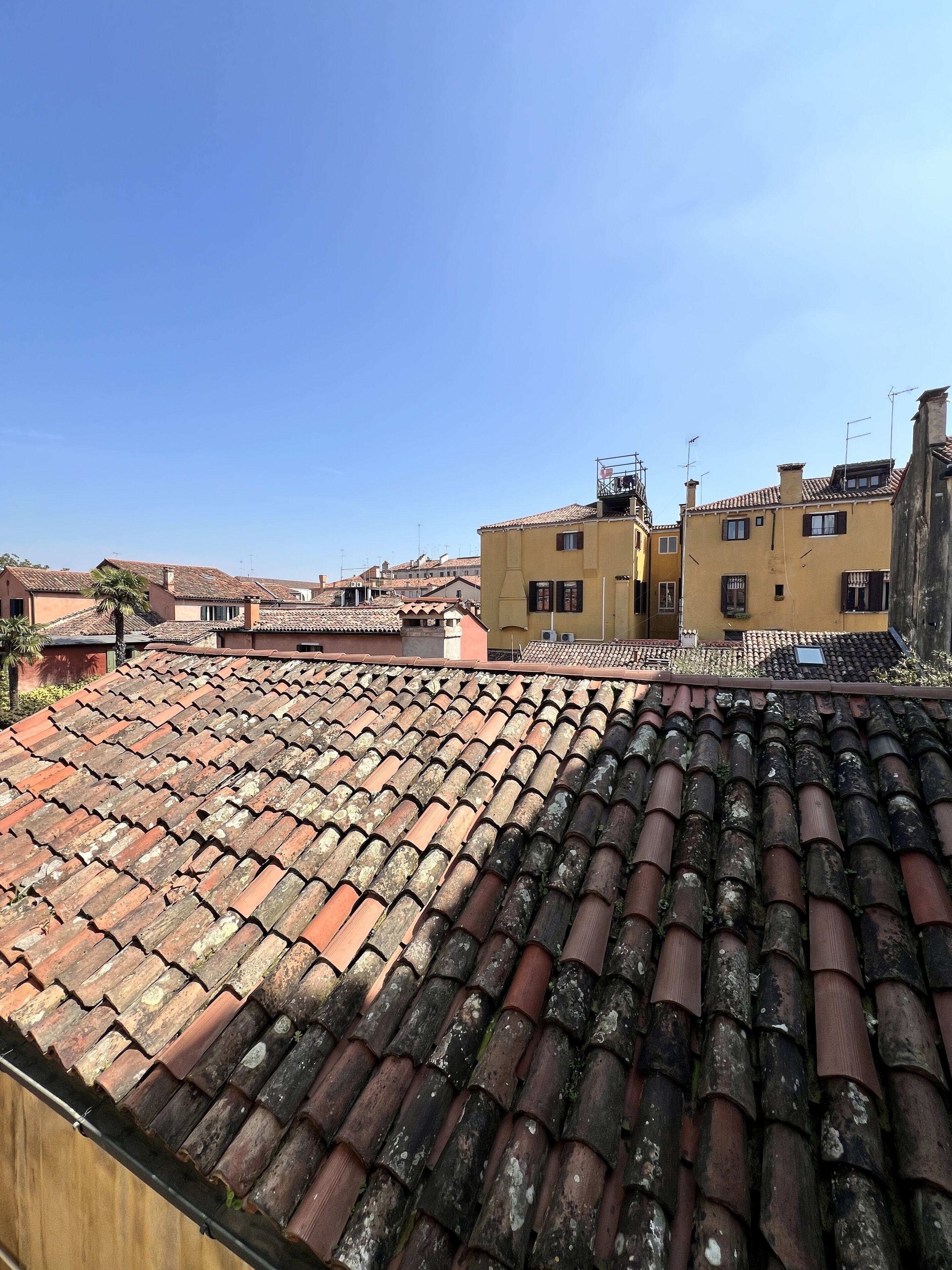 standard room | premium bedding, down duvets, pillow-top beds, in-room safe