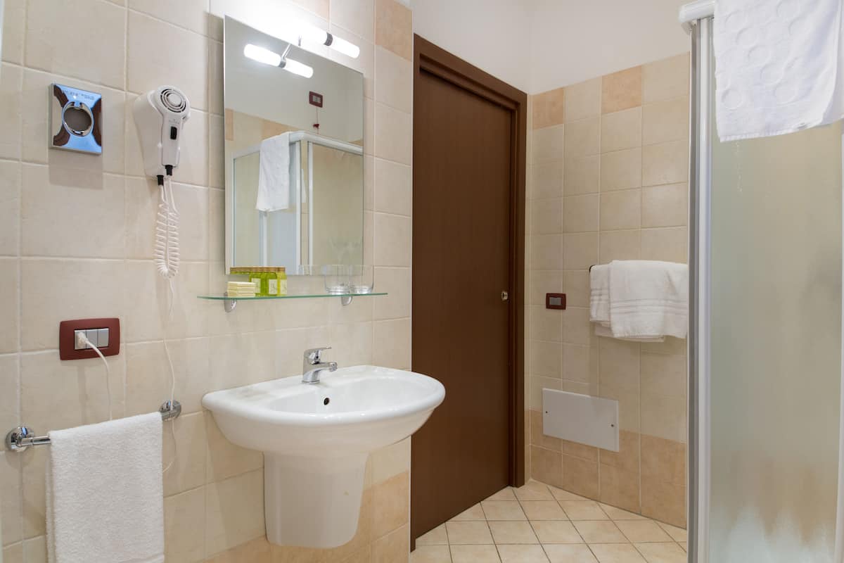 shower, free toiletries, hair dryer, bidet