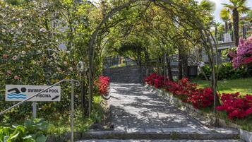Un camino conduce a una zona de piscina, rodeada de abundante vegetación y plantas con flores.