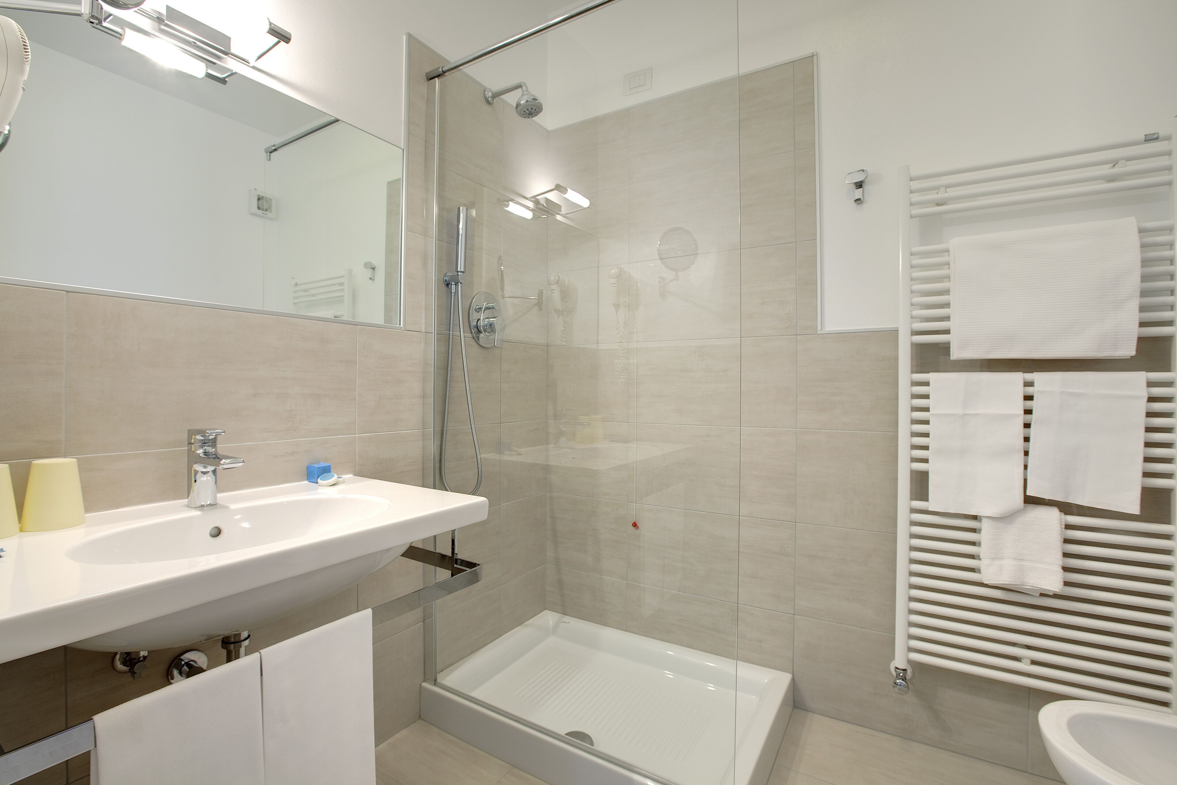 hair dryer, bidet, towels, soap