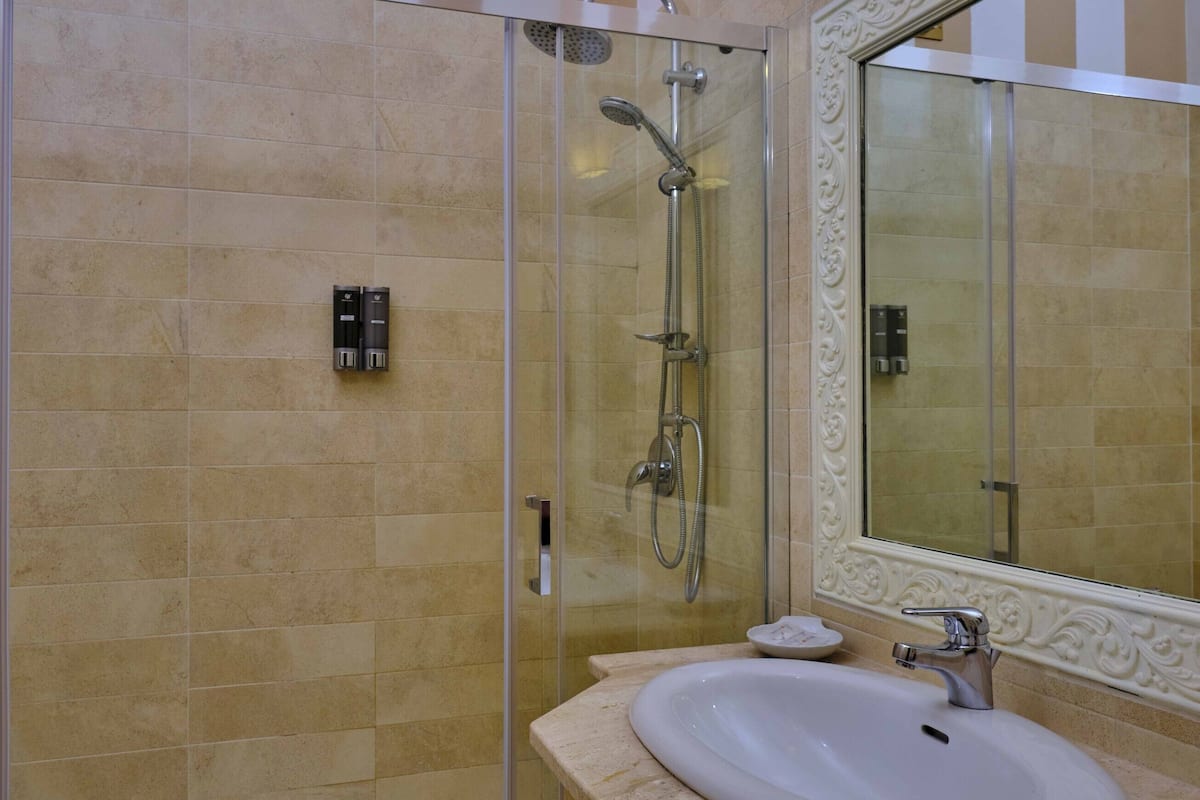 hair dryer, bidet, towels