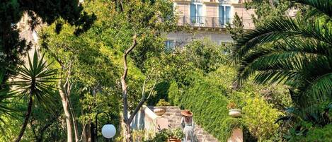 A pathway leading to a building with a classical facade, surrounded by lush greenery and potted plants.