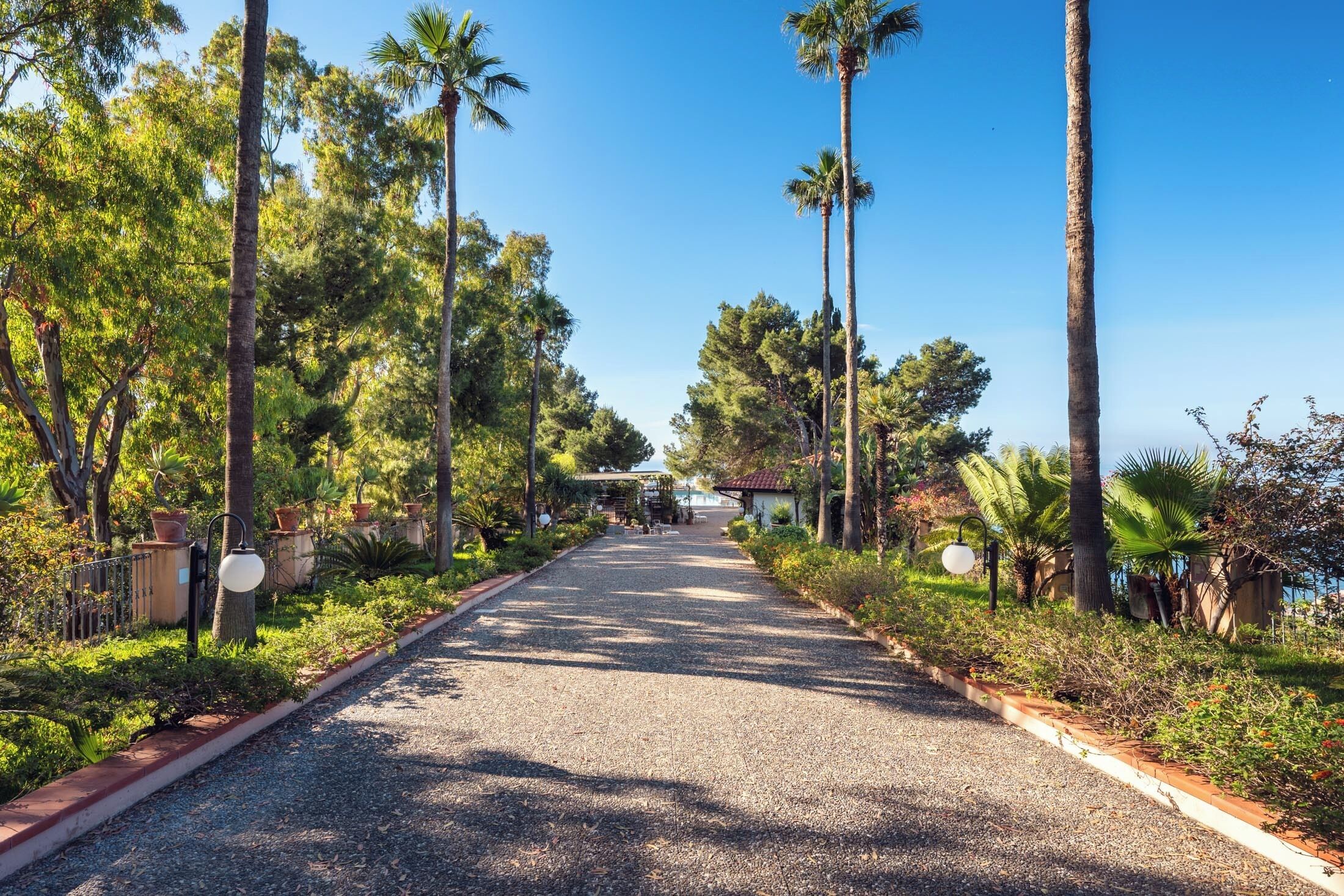 A pathway lined with tall palm trees and various shrubs, leading towards a building with a tiled roof.