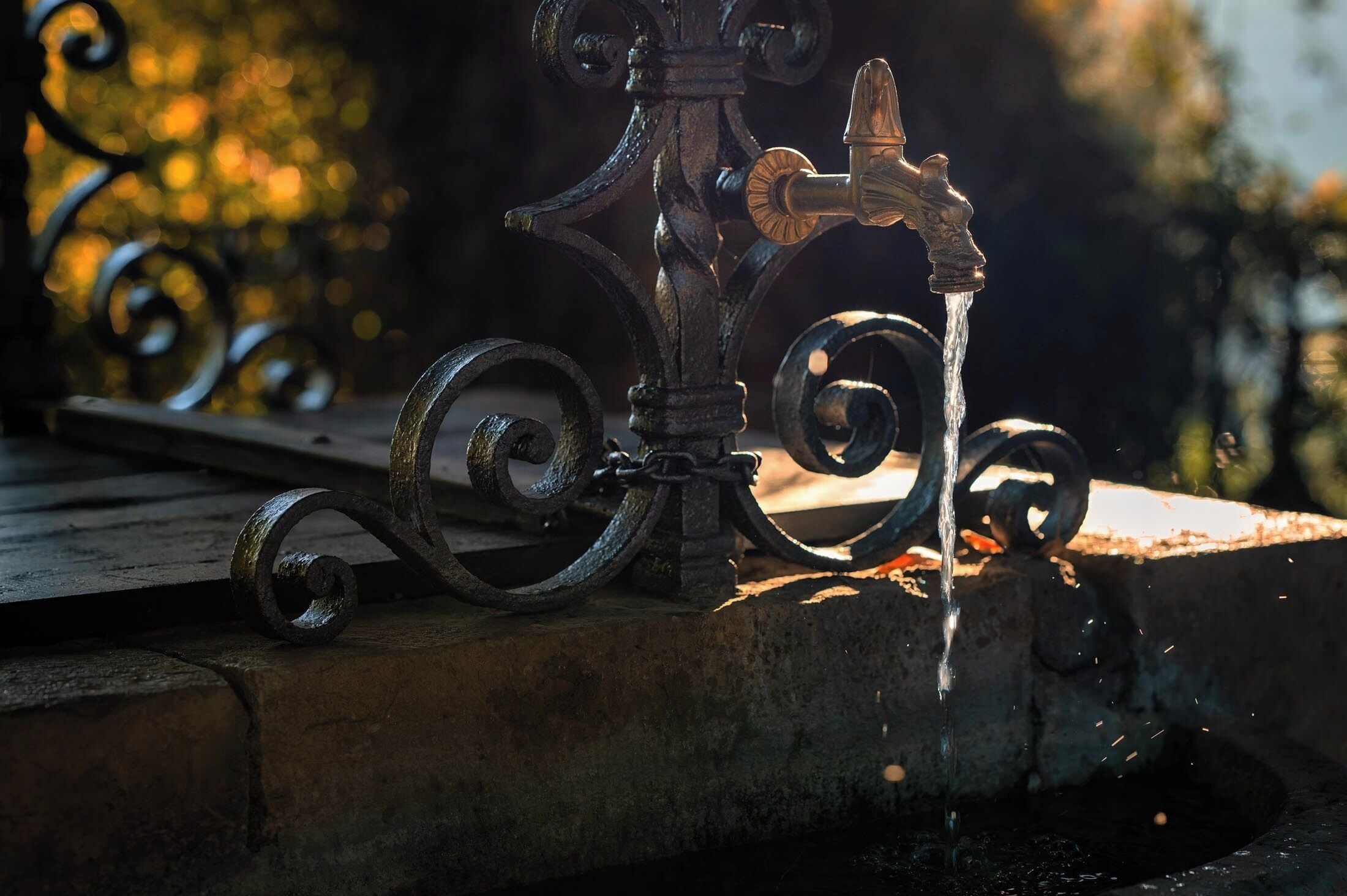 Foto - Excelsior Palace Hotel