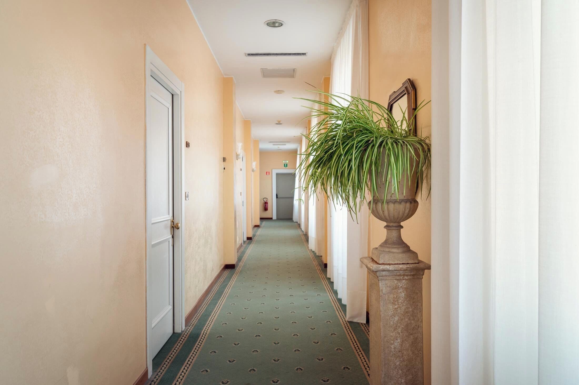 hallway