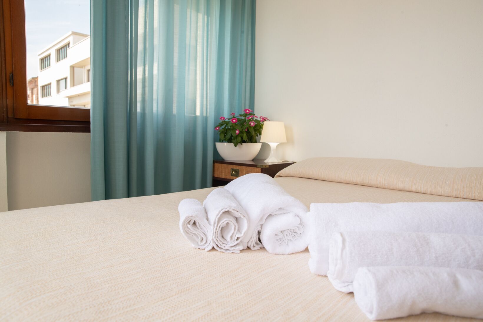 Photo - Hotel De Plam