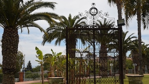 A wrought iron gate with decorative patterns, flanked by palm trees and potted plants, leading to a pathway. - Hotel Orizzonte (Acireale)