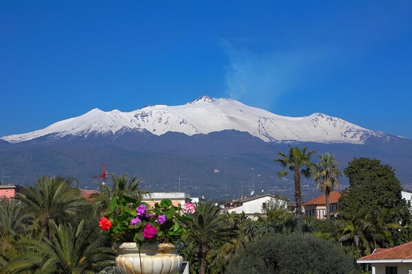 A snow-capped mountain with a clear sky, surrounded by residential buildings and palm trees.