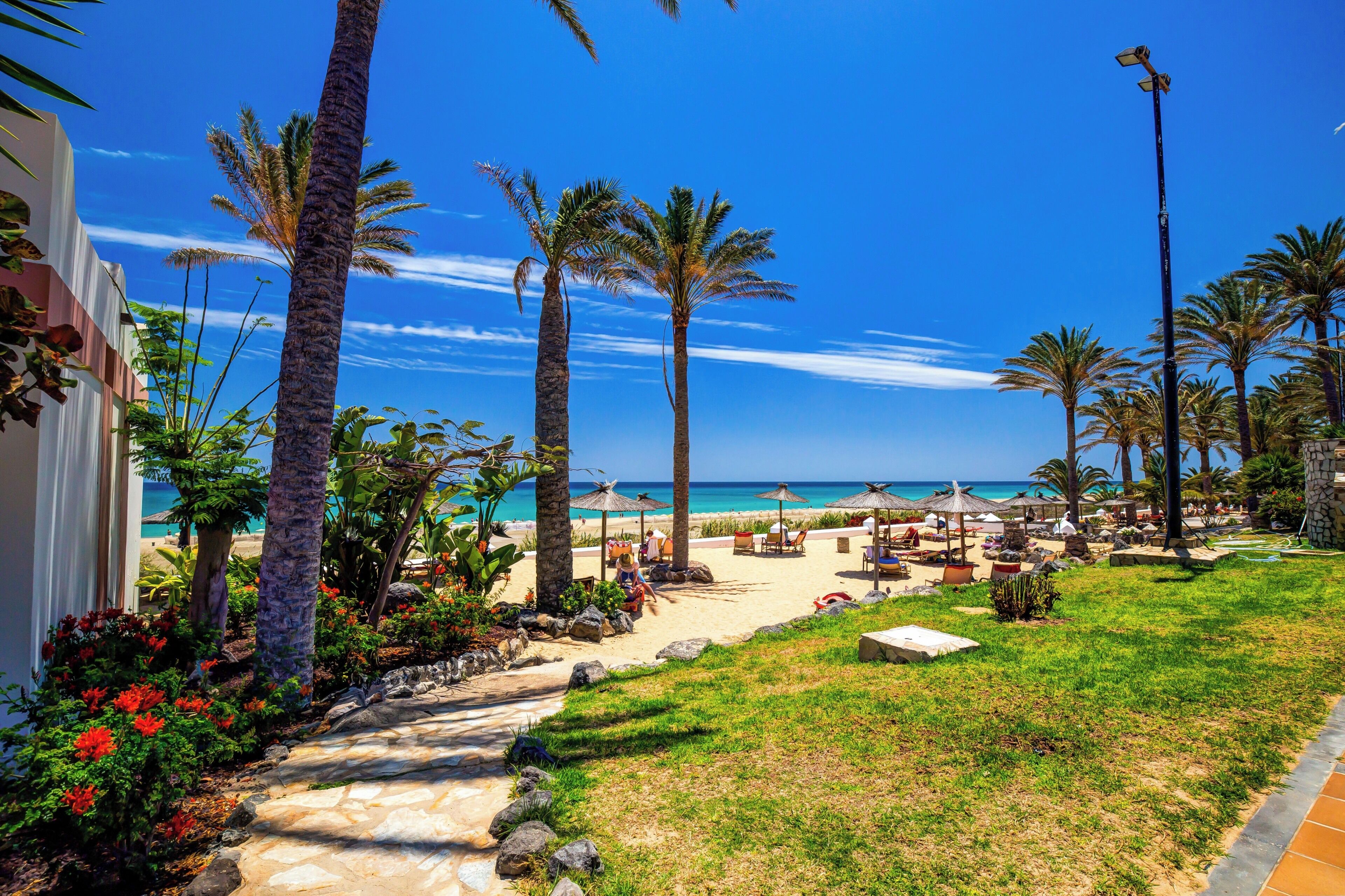 Un camino que lleva a una zona de playa con palmeras, asientos al aire libre y vista al océano.