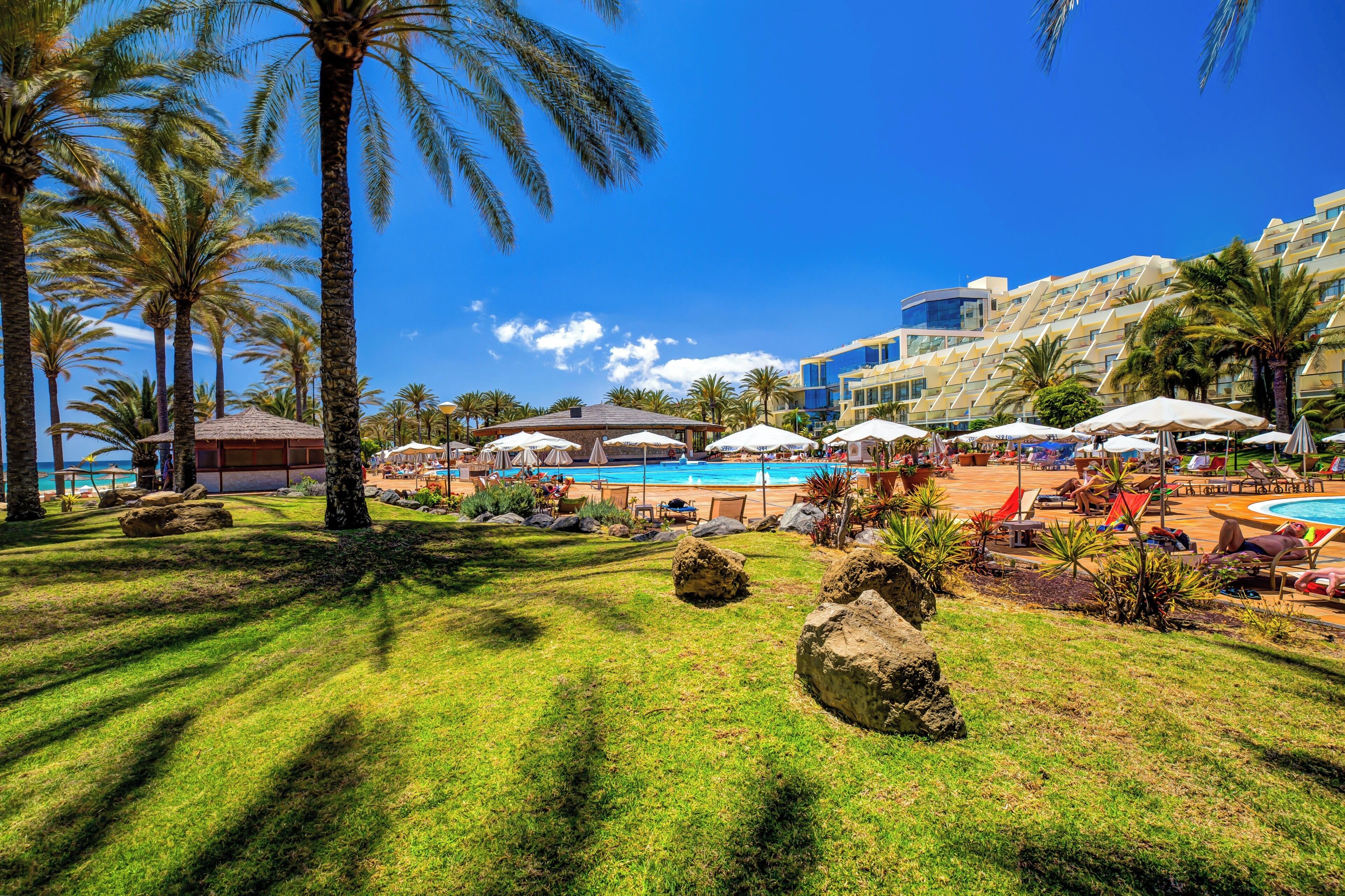 A pool area with lounge chairs and umbrellas, palm trees, and a building with a modern design.