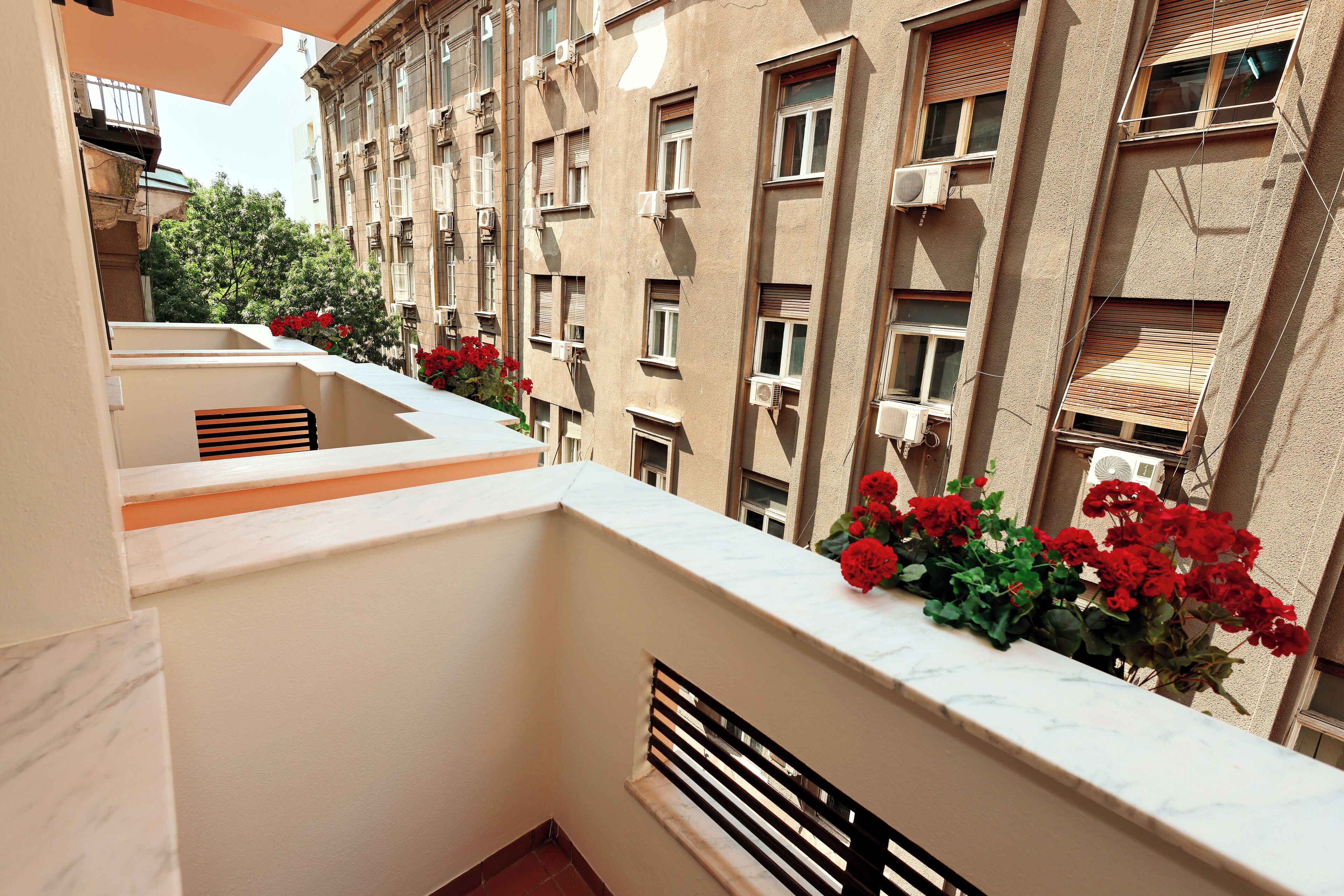 Suite | Terrace/patio