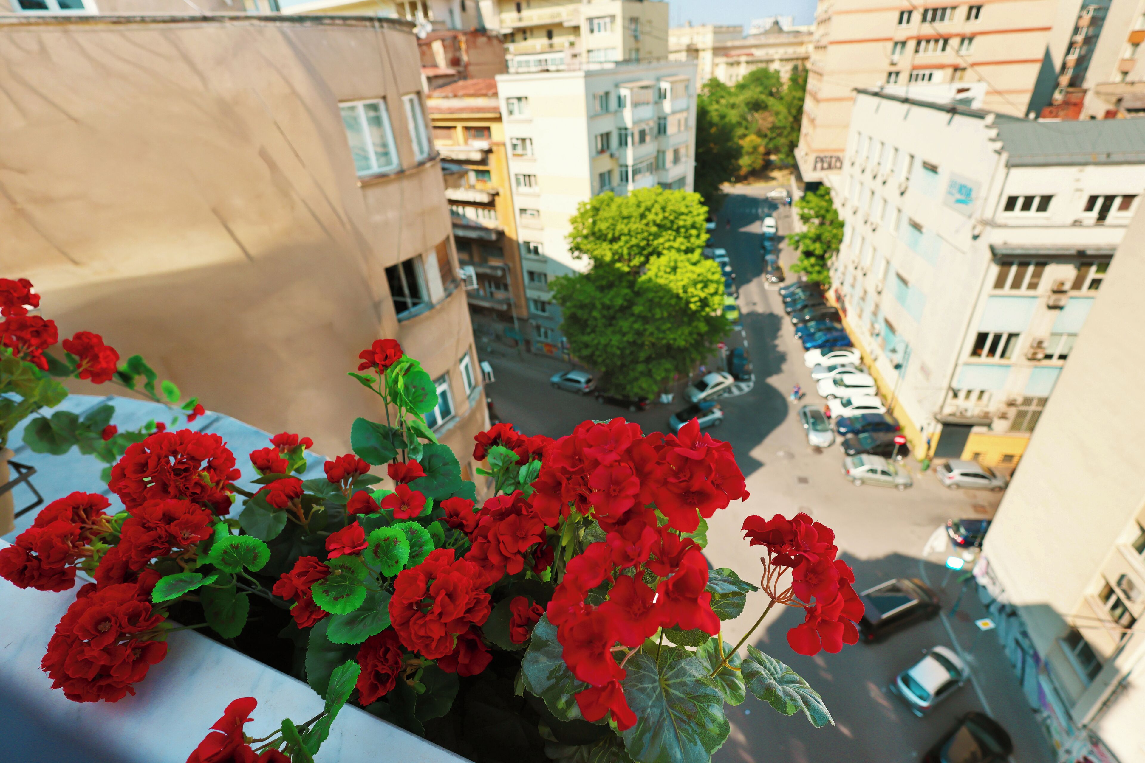 Photo - Zeus Essence Bucharest Opera