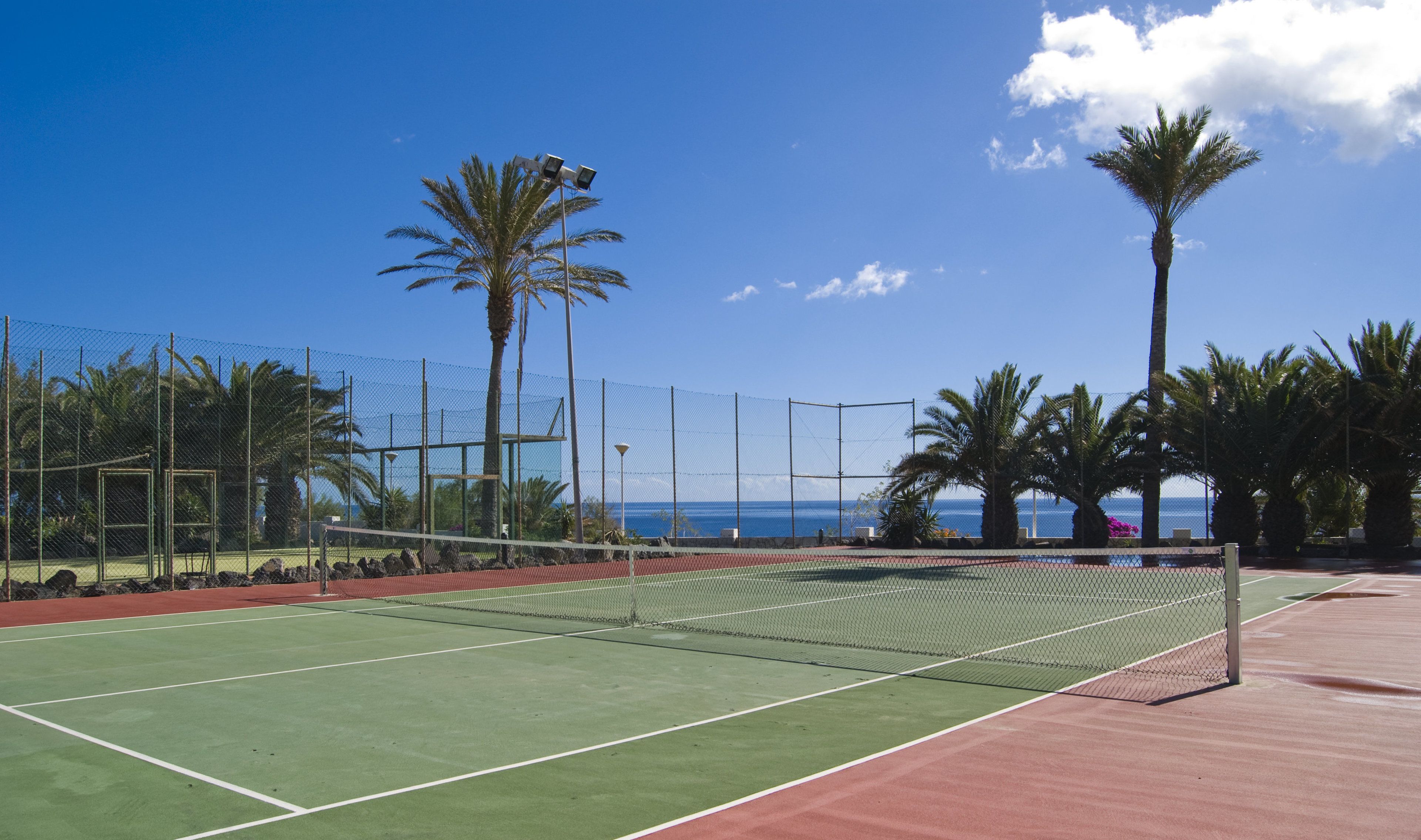 Una cancha de tenis con red, rodeada de palmeras y un cielo azul despejado.