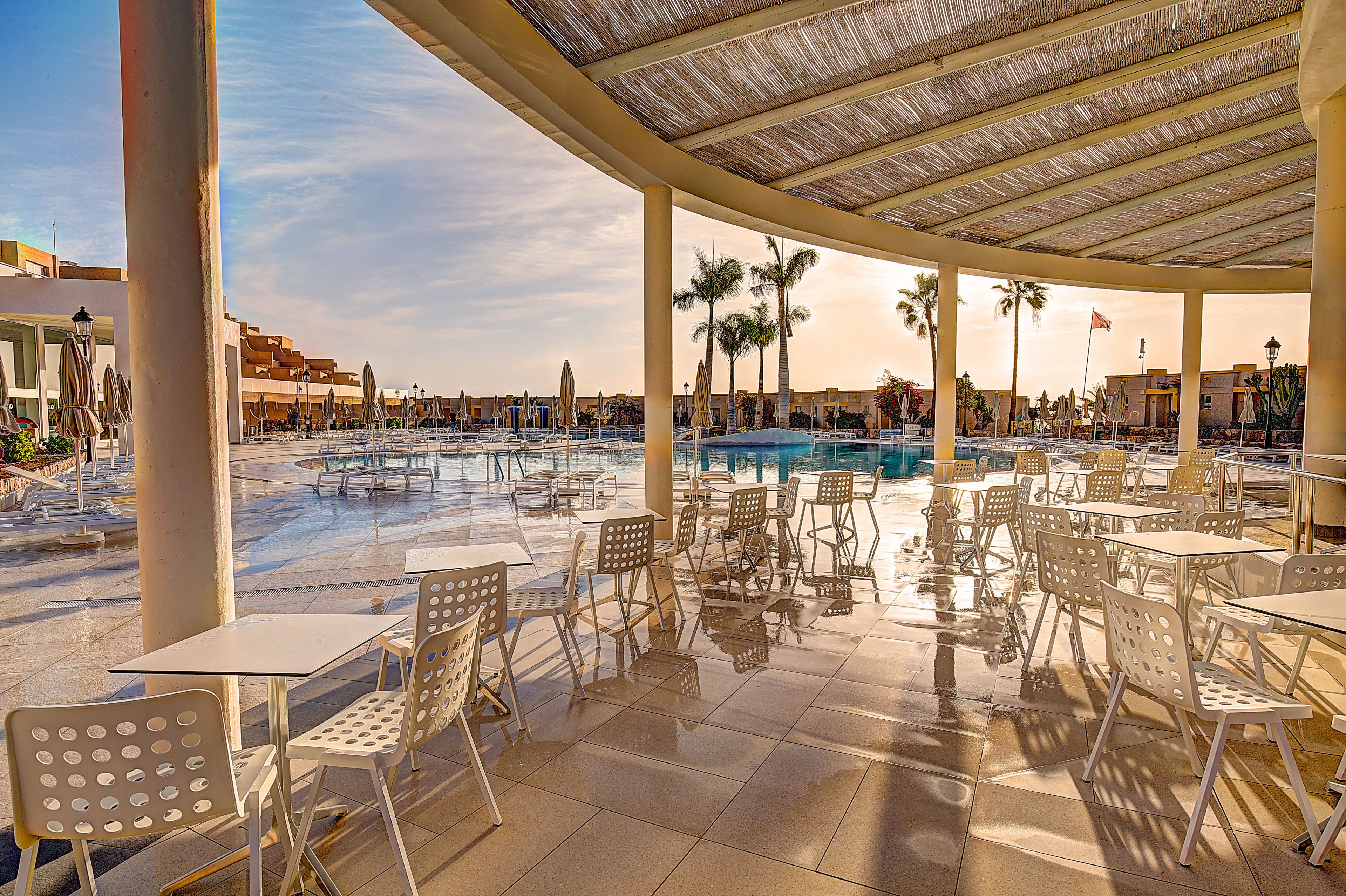 Un espace extérieur abrité, doté de tables et de chaises, d’une piscine et de palmiers.