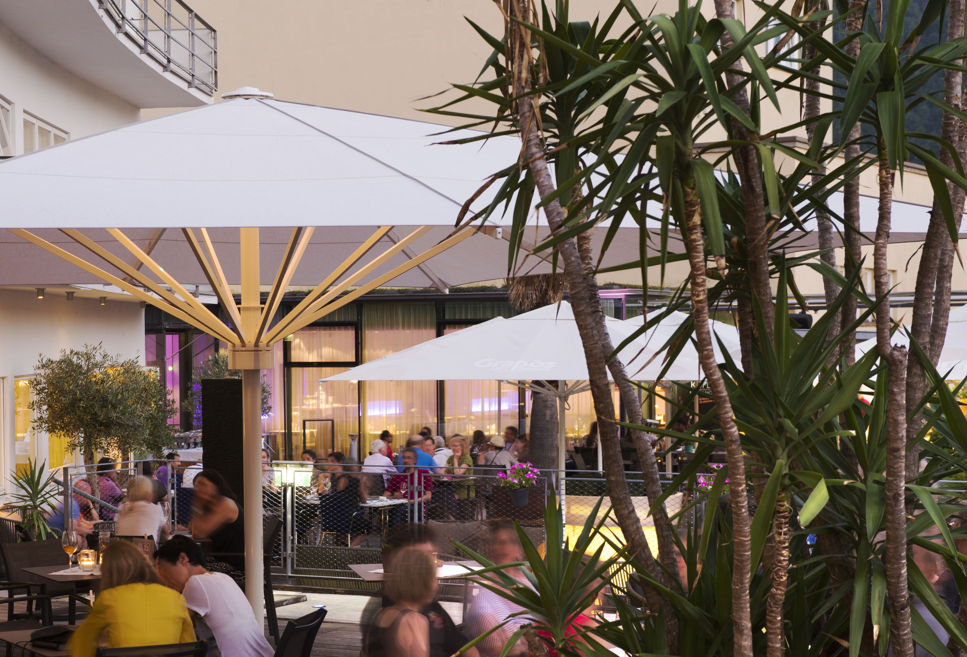 An outdoor dining area with tables and chairs, surrounded by palm trees and covered by umbrellas.