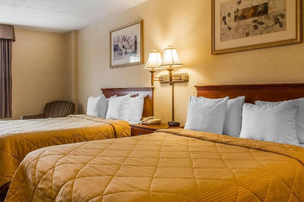 Habitación de hotel con dos camas, una mesita de noche con lámpara, una silla y cuadros en la pared.