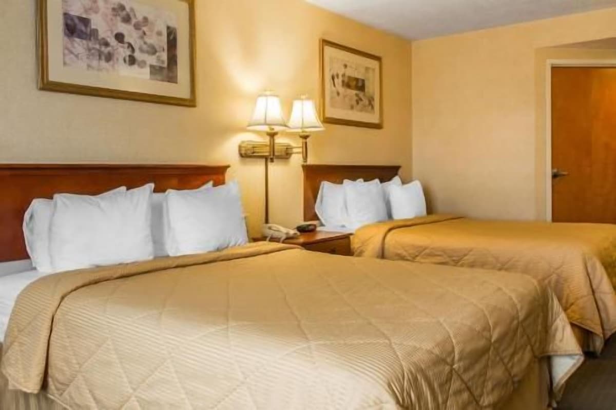 Habitación de hotel con dos camas, cabecera de madera, mesita de noche, lámpara y cuadros en la pared.