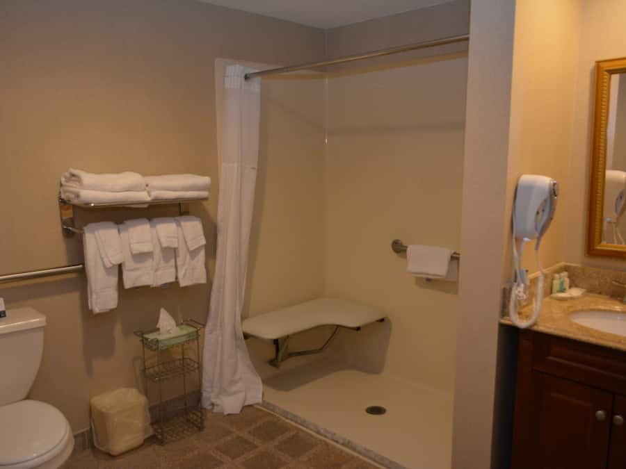 A bathroom with a shower, toilet, and sink.