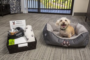 Pet-friendly