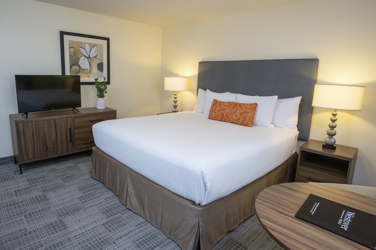 Studio, 1 Queen Bed