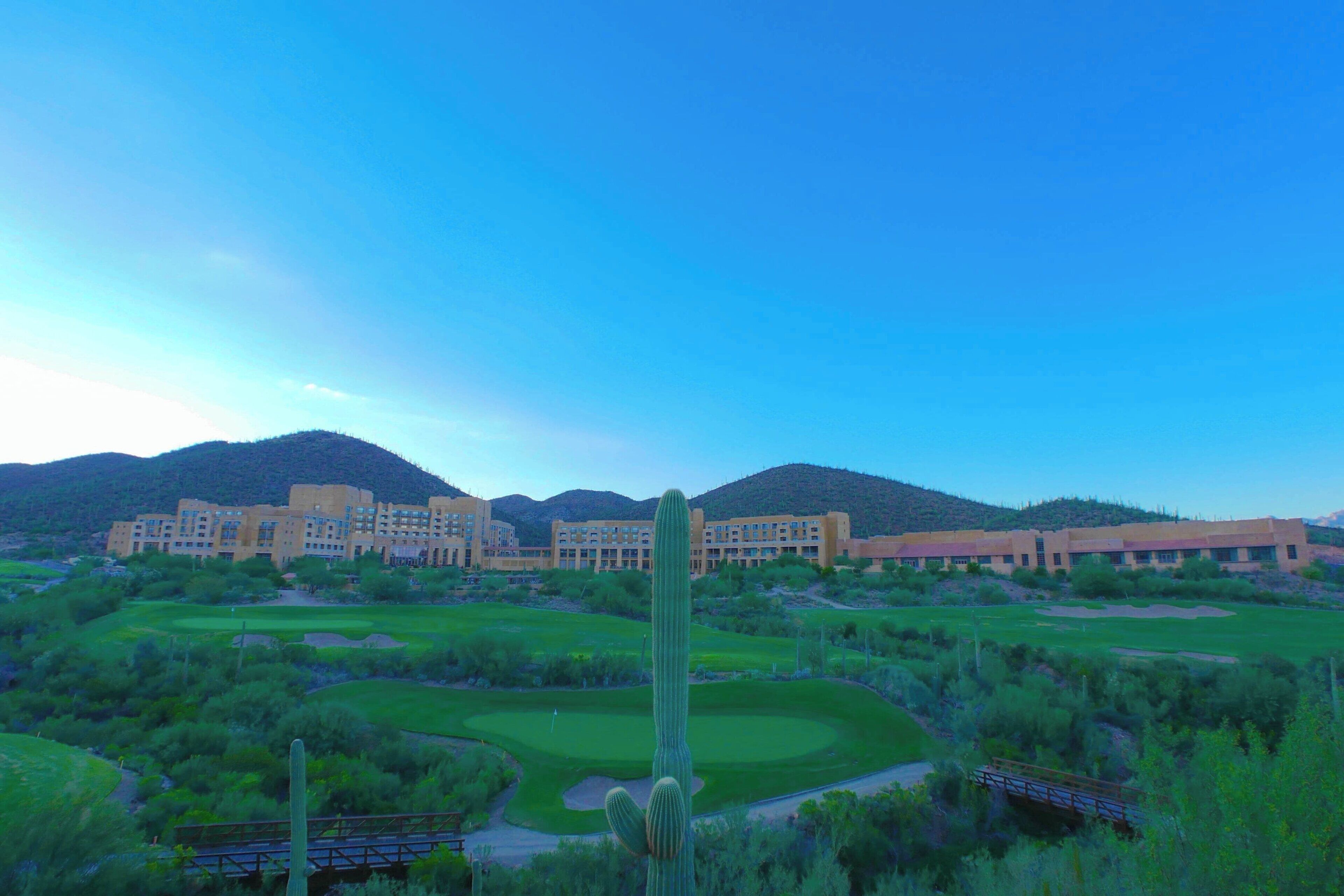 Paisaje desértico con un extenso complejo arquitectónico, campo de golf verde y un cactus destacado.