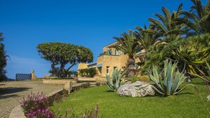 Un jardin aménagé avec des palmiers, un grand arbre et des plantes à fleurs.
