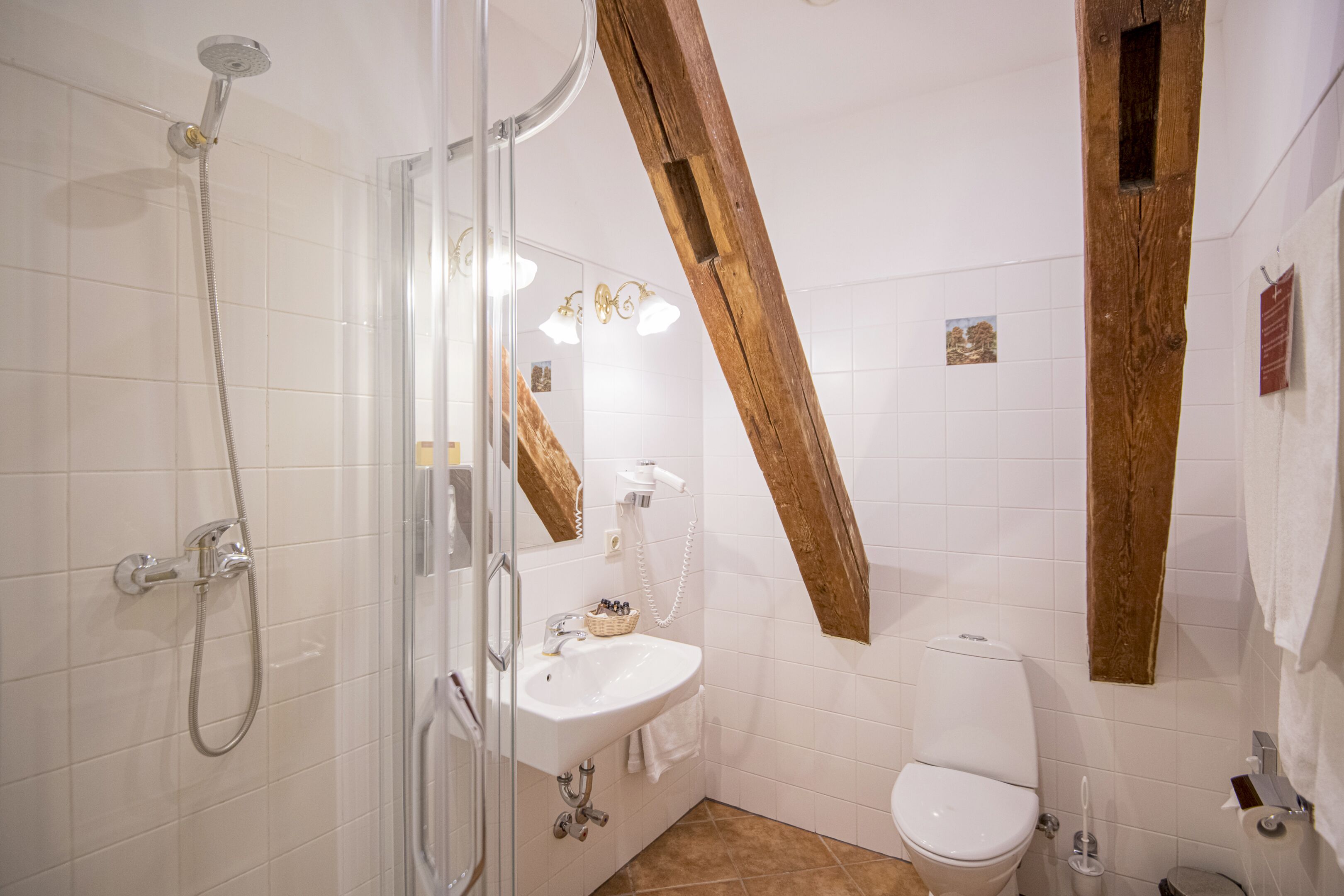 basic double room | bathroom | free toiletries, hair dryer, towels