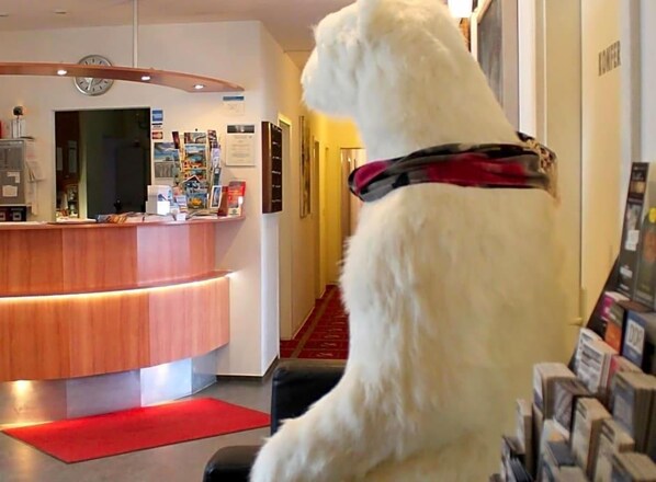 Un perro blanco sentado en el vestíbulo de un hotel con un mostrador de recepción, un reloj en la pared y una alfombra roja.