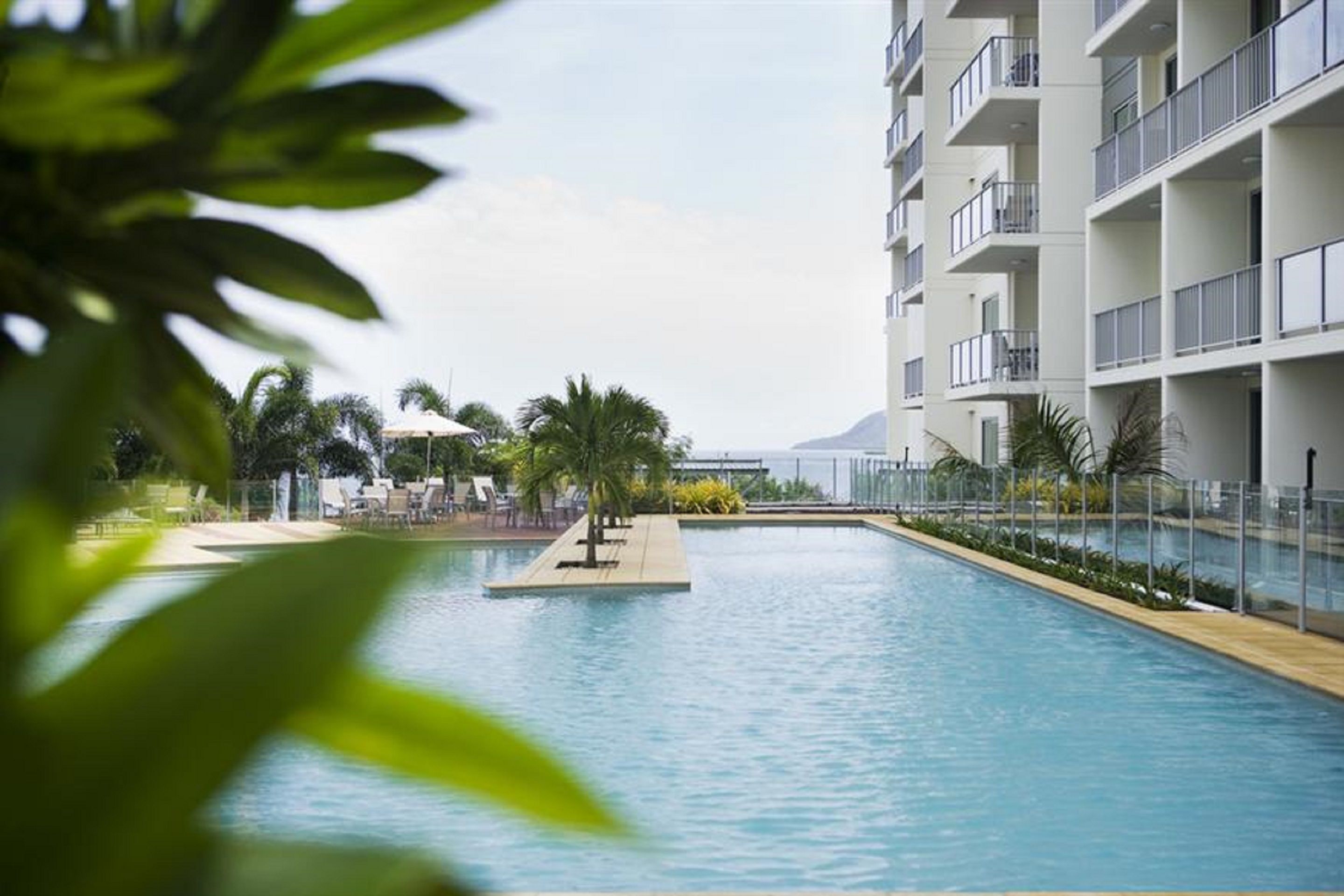 Una piscina con vistas a un edificio de varios pisos, rodeada de vegetación y palmeras.