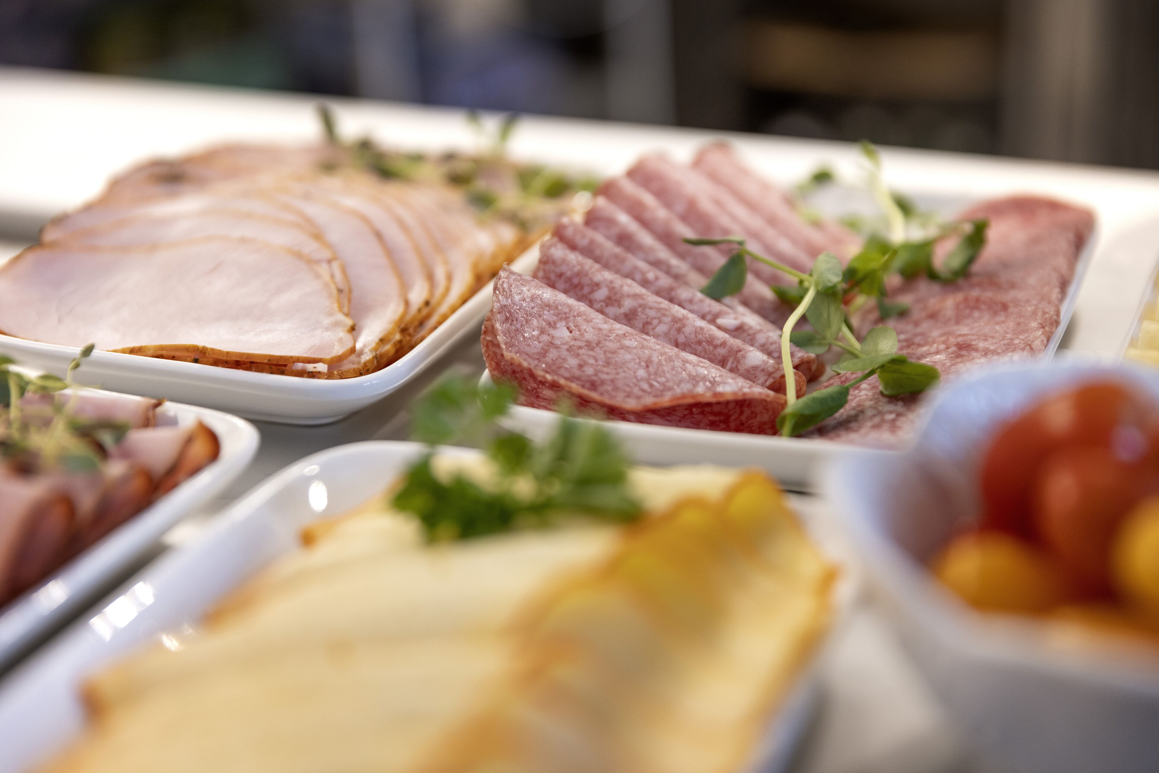 A variety of sliced meats and cheeses on a buffet table.