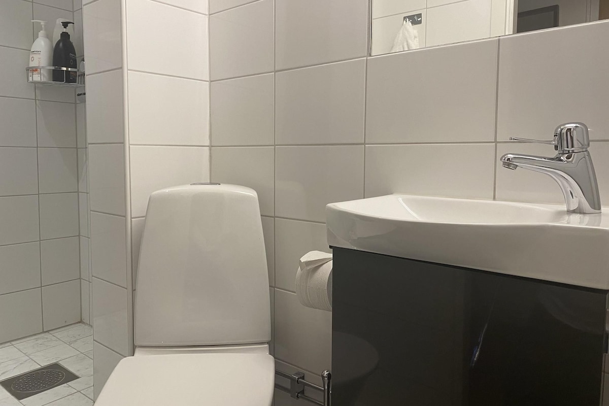 Bathroom | Free toiletries, hair dryer, towels, soap