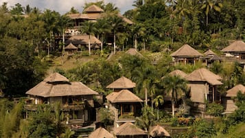 Vue depuis l’hébergement