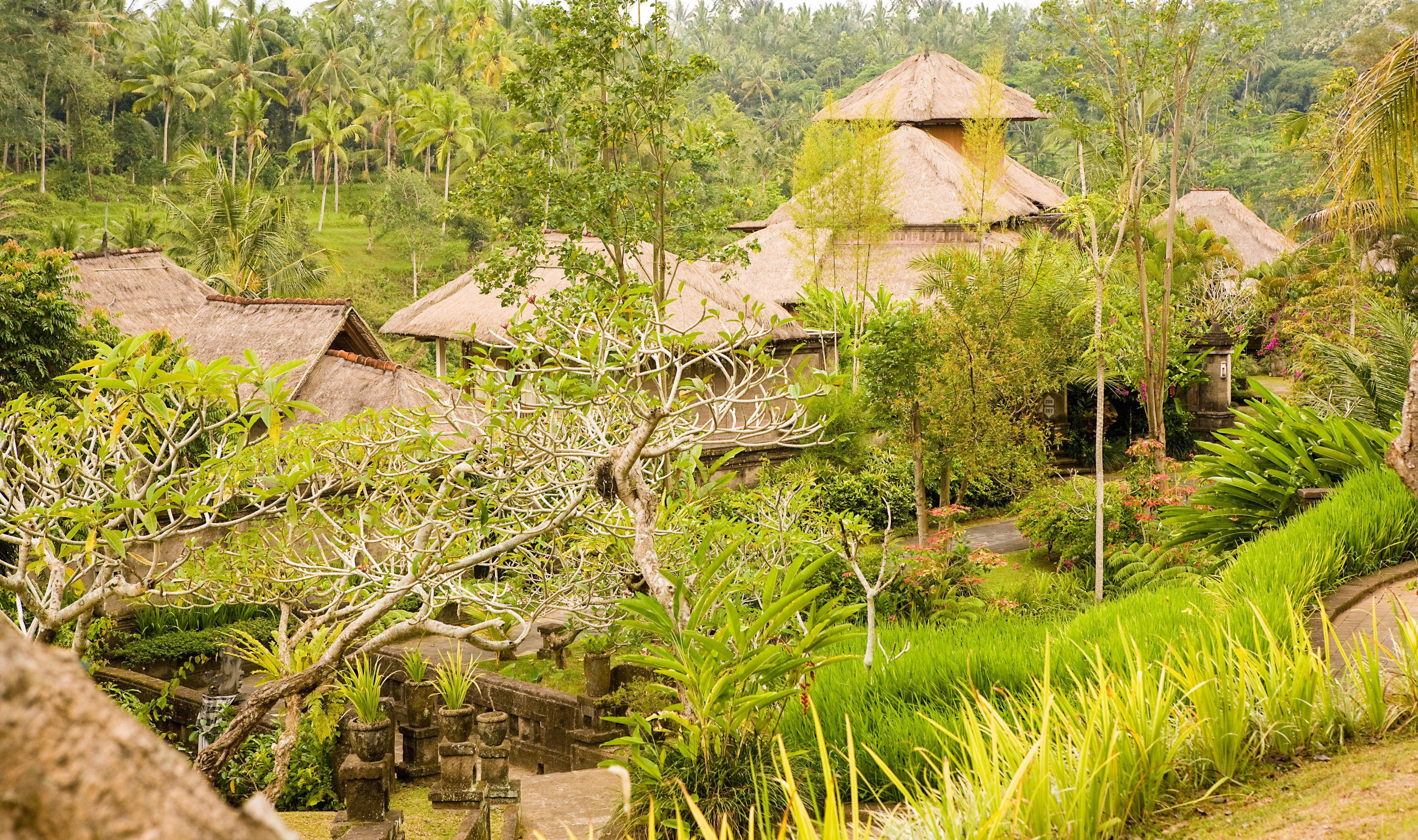 Foto - The Payogan Villa Resort & Spa Ubud