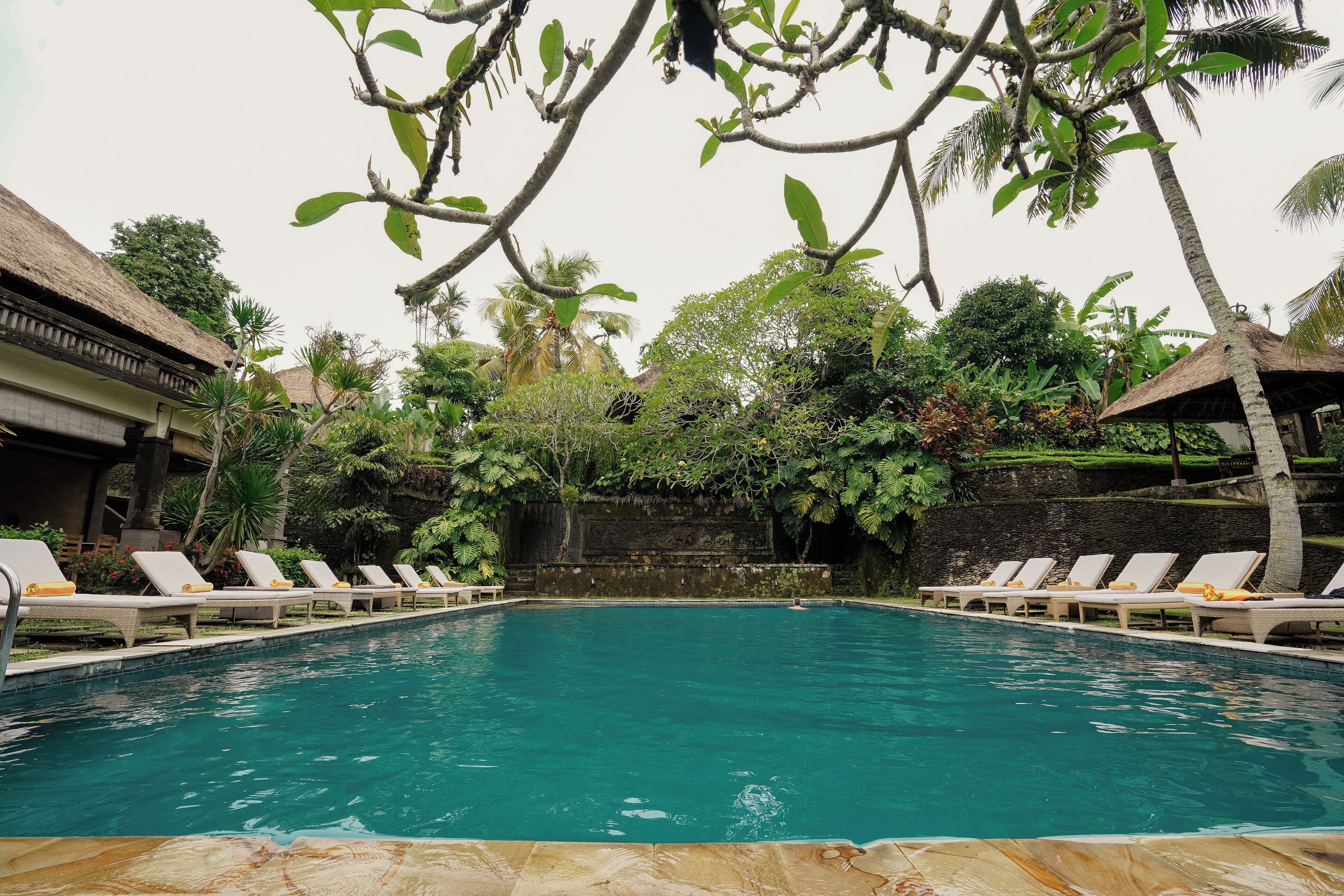 A swimming pool with lounge chairs, surrounded by tropical vegetation and a stone wall.